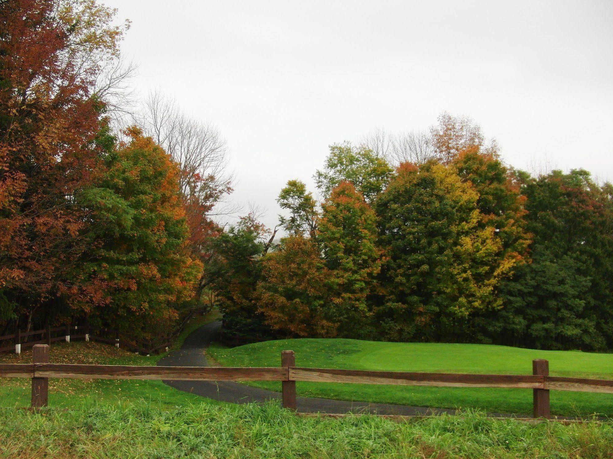 Villa Roma Resort And Conference Center Callicoon Buitenkant foto